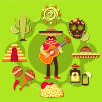 Expert Latin translator Expert Latin translator