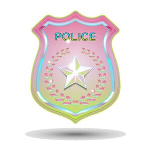 no criminal record certificate no criminal record certificate