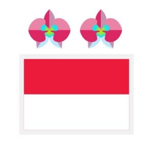 indonesial culture and traditions indonesial culture and traditions