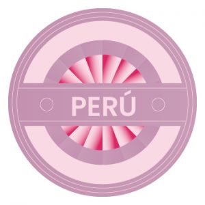 peru official languages peru official languages
