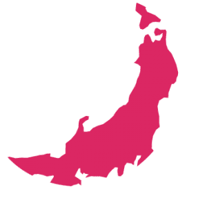 japanese or korean japanese or korean