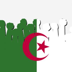 algeria langauge algeria langauge